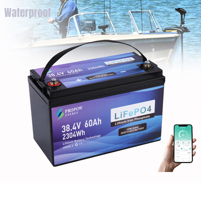 Fishing Boat Trolling Motor - Batteries de moteur 36V pour bateau